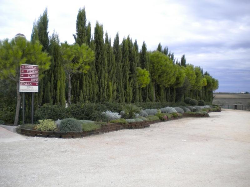 Agriturismo Posta Bassi Фоджа Екстериор снимка