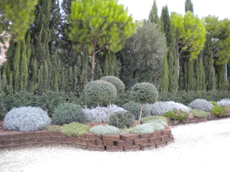 Agriturismo Posta Bassi Фоджа Екстериор снимка